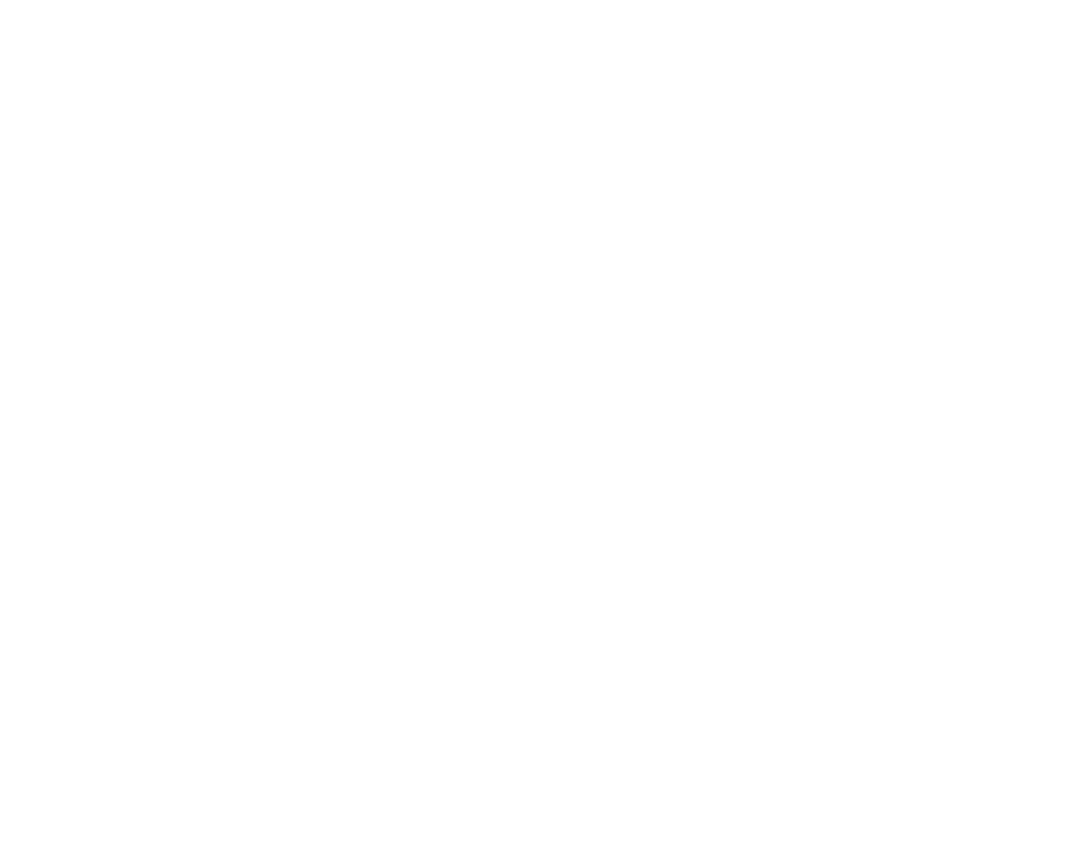 Logo FMNDEV
